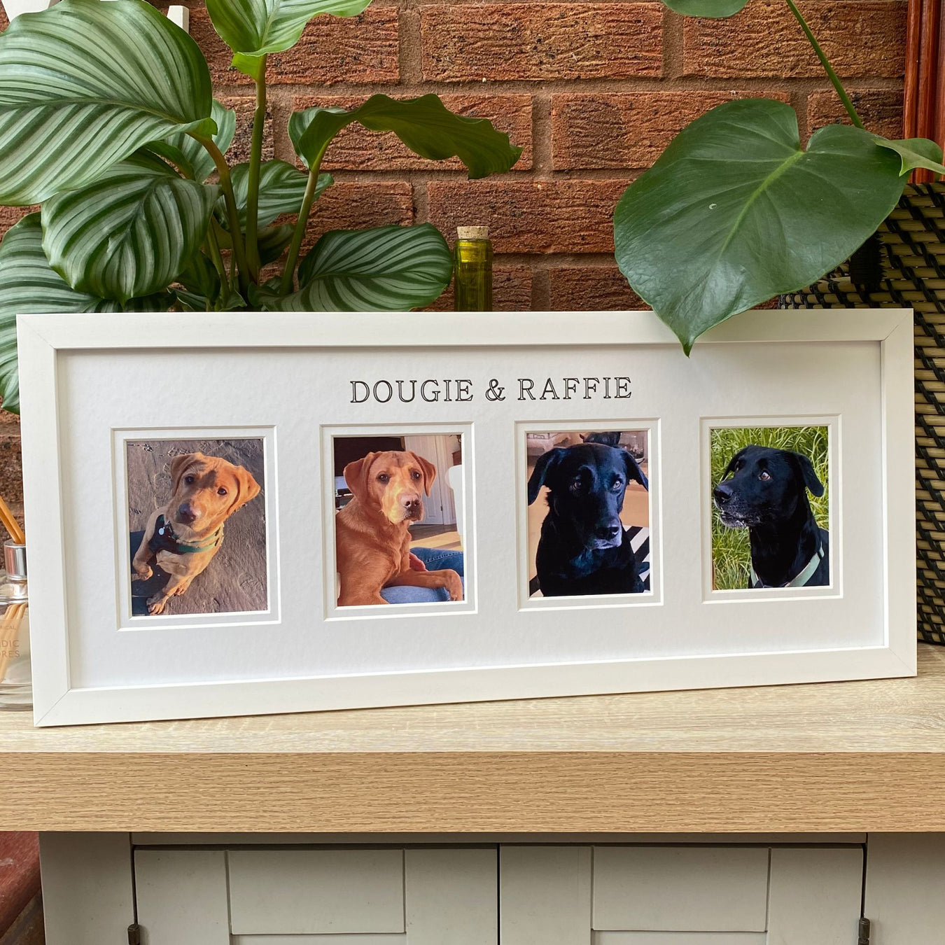 Multipicture Dog Photo Frame