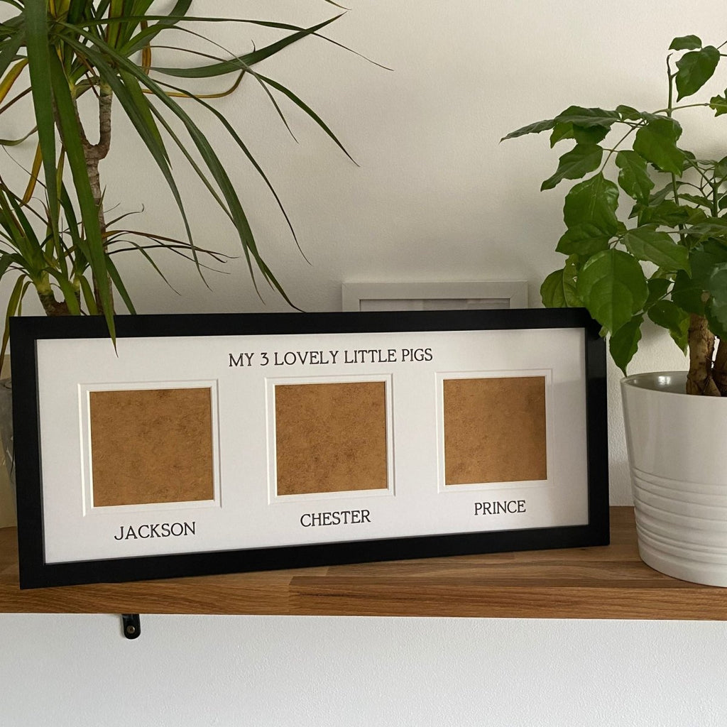 framed, 3-opening for animal pictures. Text says 'My 3 lovely little pigs' and names - memories of farm-life