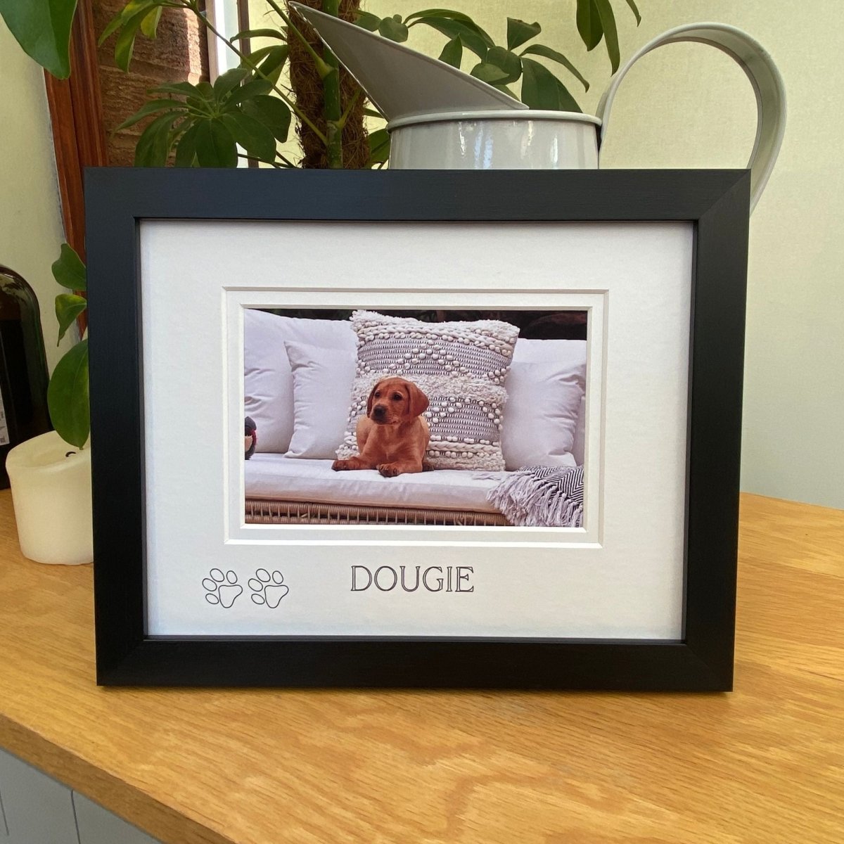 Black Framed picture of a dog named Dougie on a table with plants in the background