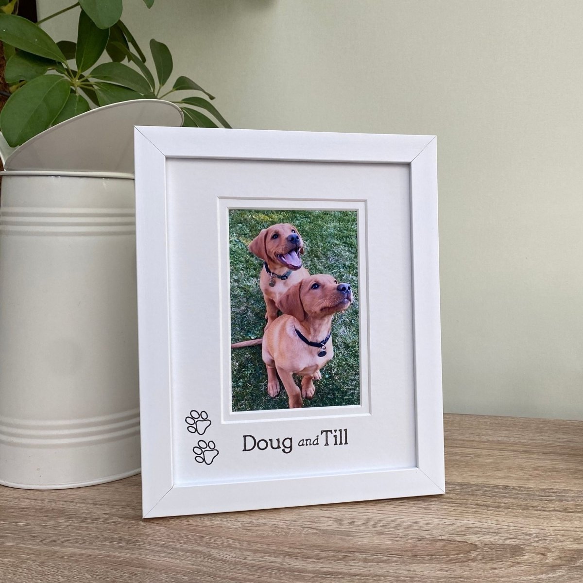 White framed photo of two dogs with 'Doug and Till' text, placed on a wooden surface with a plant in the background.