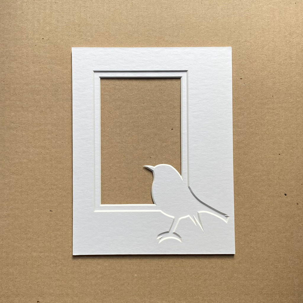 Custom mount & Robin mount