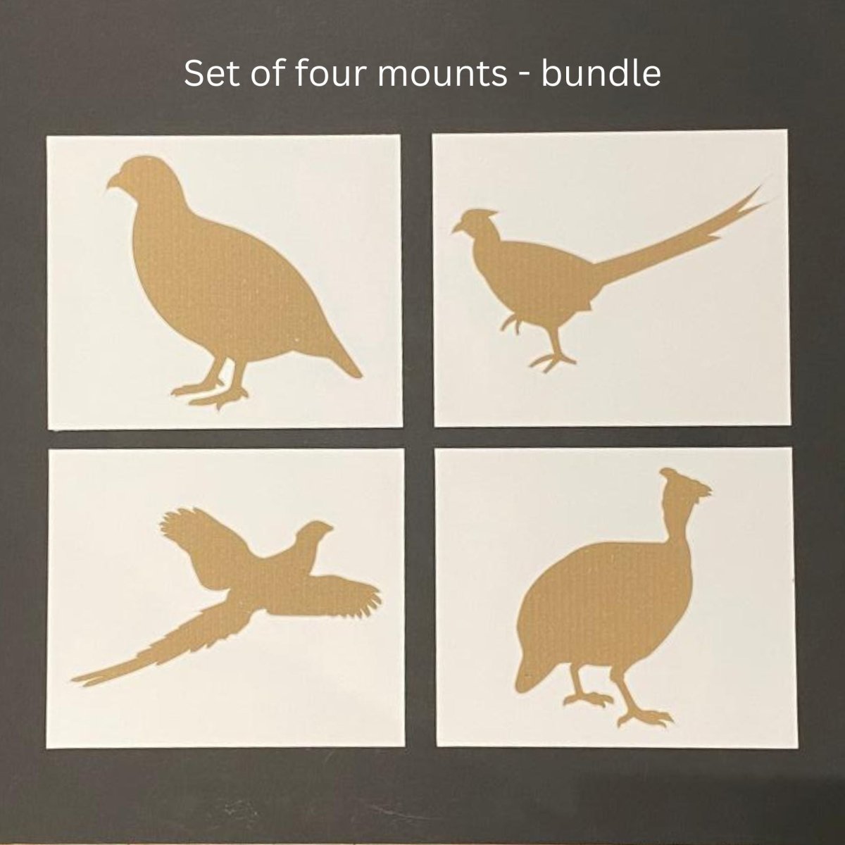 Set of four framed bird silhouette mounts – pheasant, guinea fowl, flying pheasant, partridge – bevel‑edge precision cut, 12x10 inches