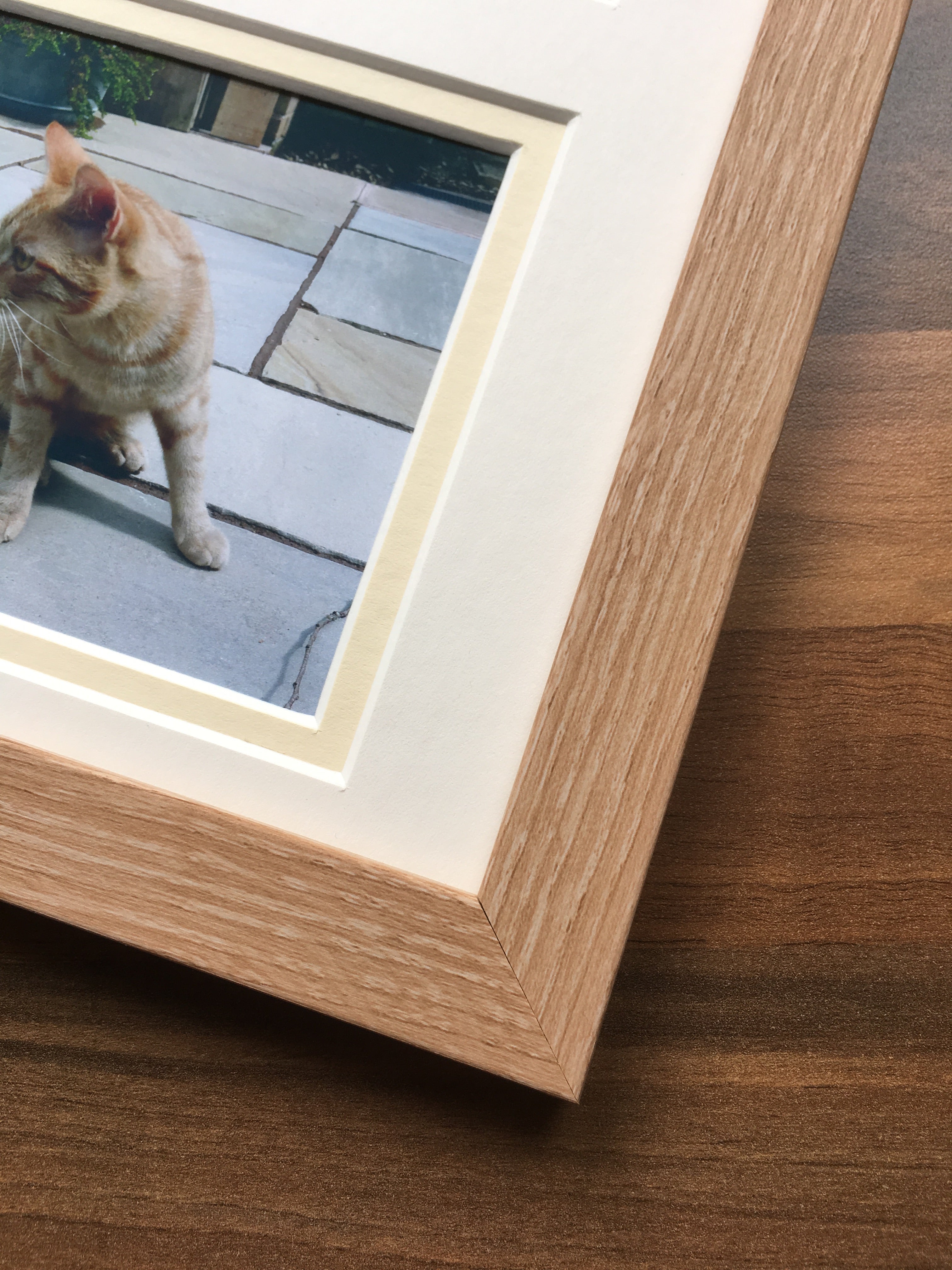 In Loving Memory Personalised Pet Photo Frame 12 x 10 - Azana Photo Frames