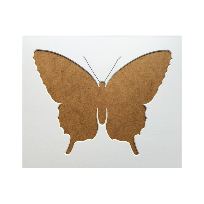 Butterfly Silhouette Picture Mount