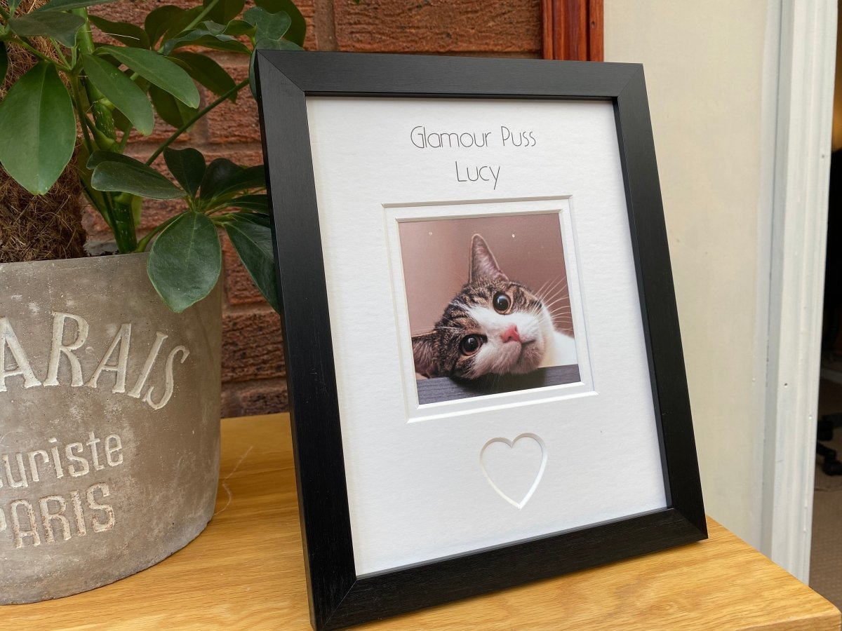 Custom Cat Picture Frame - Azana Photo Frames