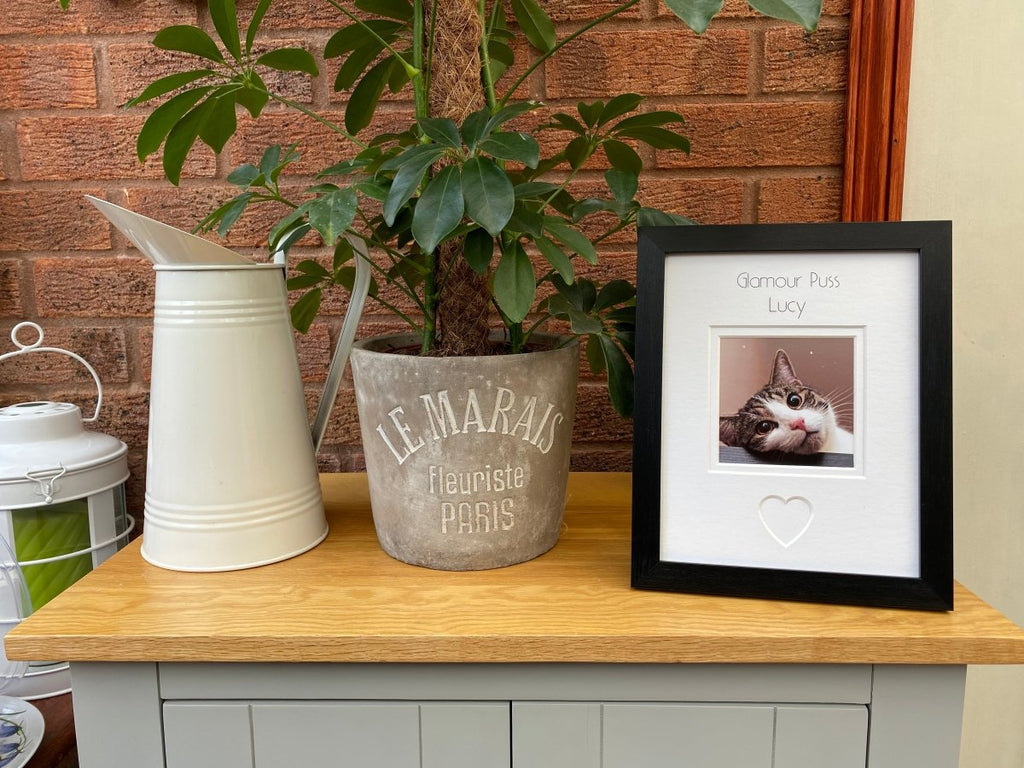 Custom Cat Picture Frame - Azana Photo Frames