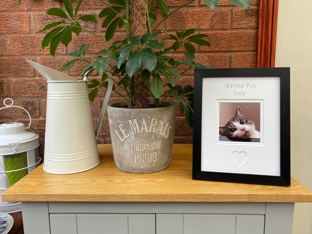 Custom Cat Picture Frame - Azana Photo Frames