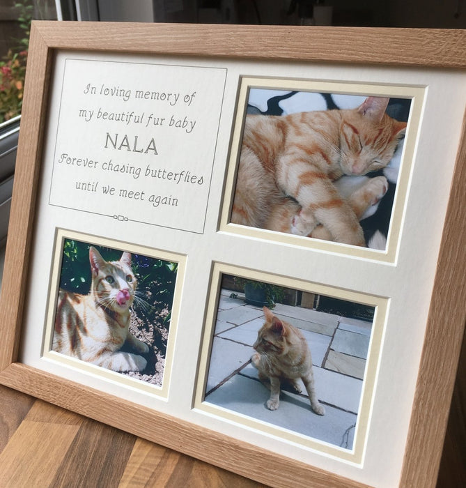 Personalised Animal Picture Frame 
