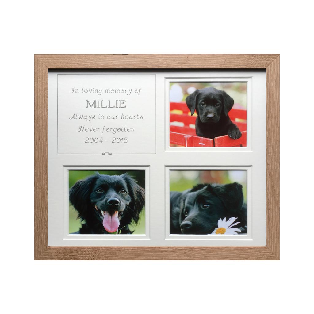Pet Memory Beech Frame - White inner