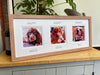 Three photo collage picture frame for the love of Dogs