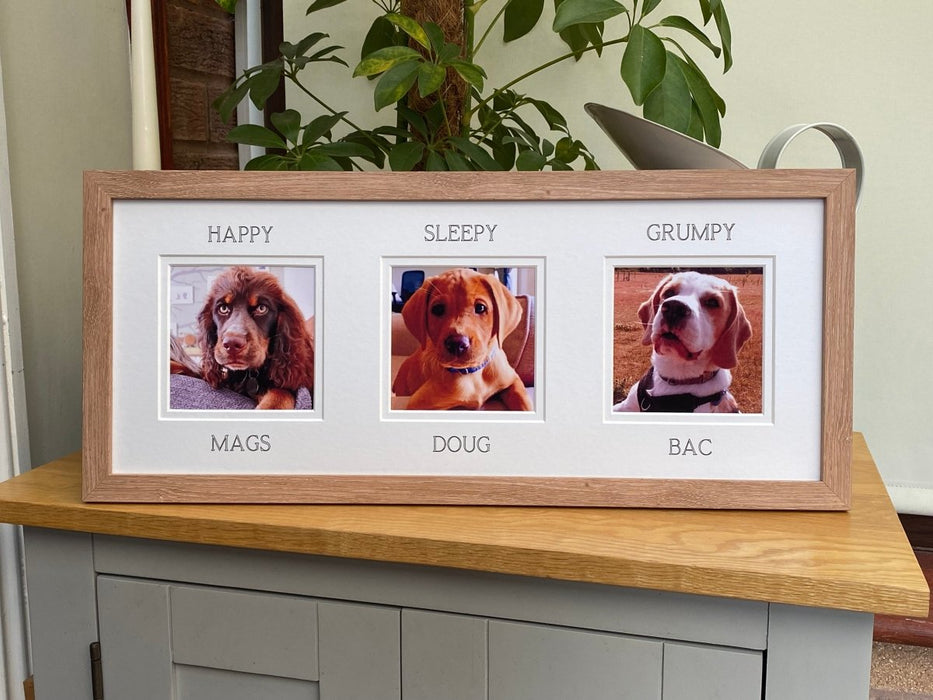 Wall Hanging Multipicture Collage Pet Dog Frame 