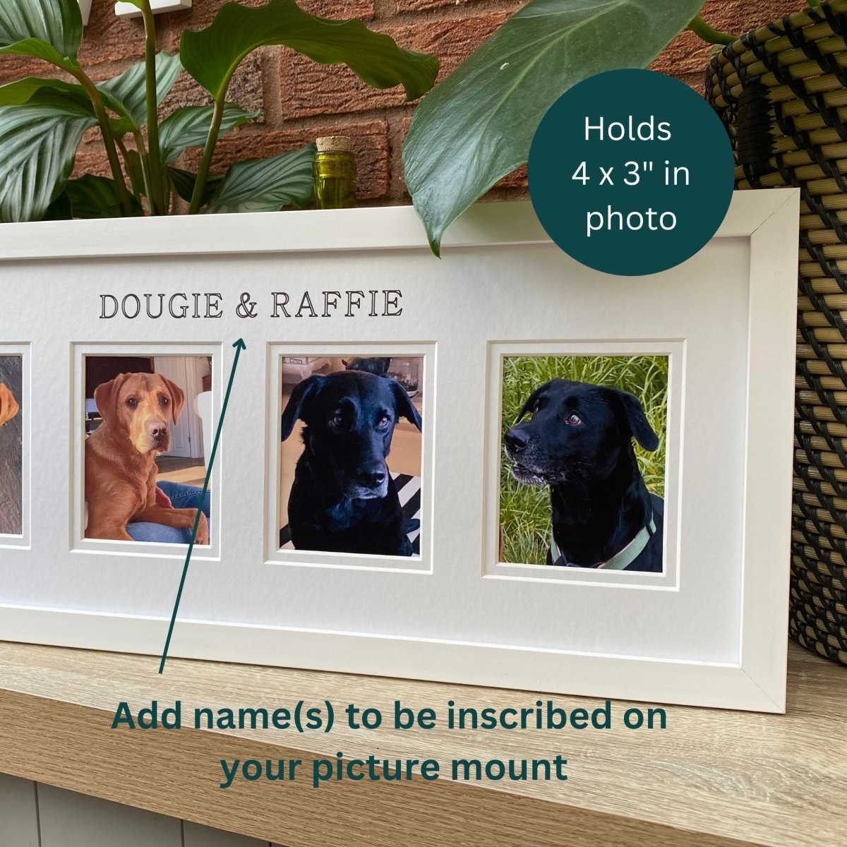 Personalised 4 Pictures Pet Dog Frame, White - Azana Photo Frames