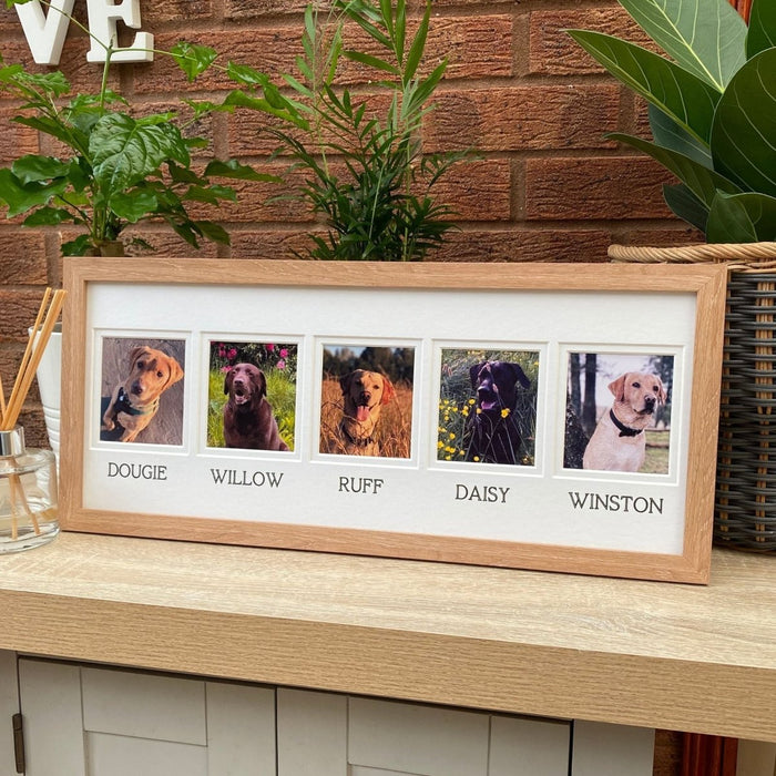 Light brown multipicture frame of family pet labrador dogs on the tabletop with plants and diffuser