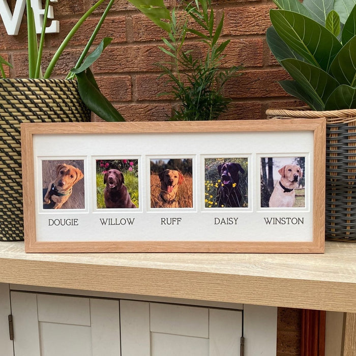 Light brown multipicture frame of family dogs on the tabletop with plants