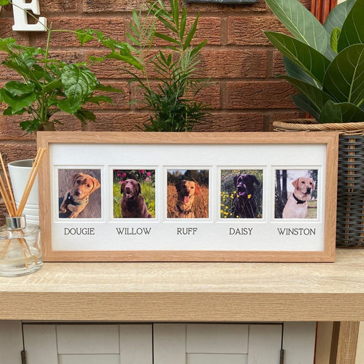 Light brown multipicture frame of family pet dogs on the tabletop with plants and diffuser