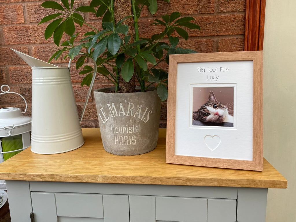 Glamour Puss Photo Frame 9 x 7