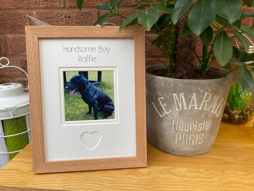 Handsome Boy Dog Photo Frame