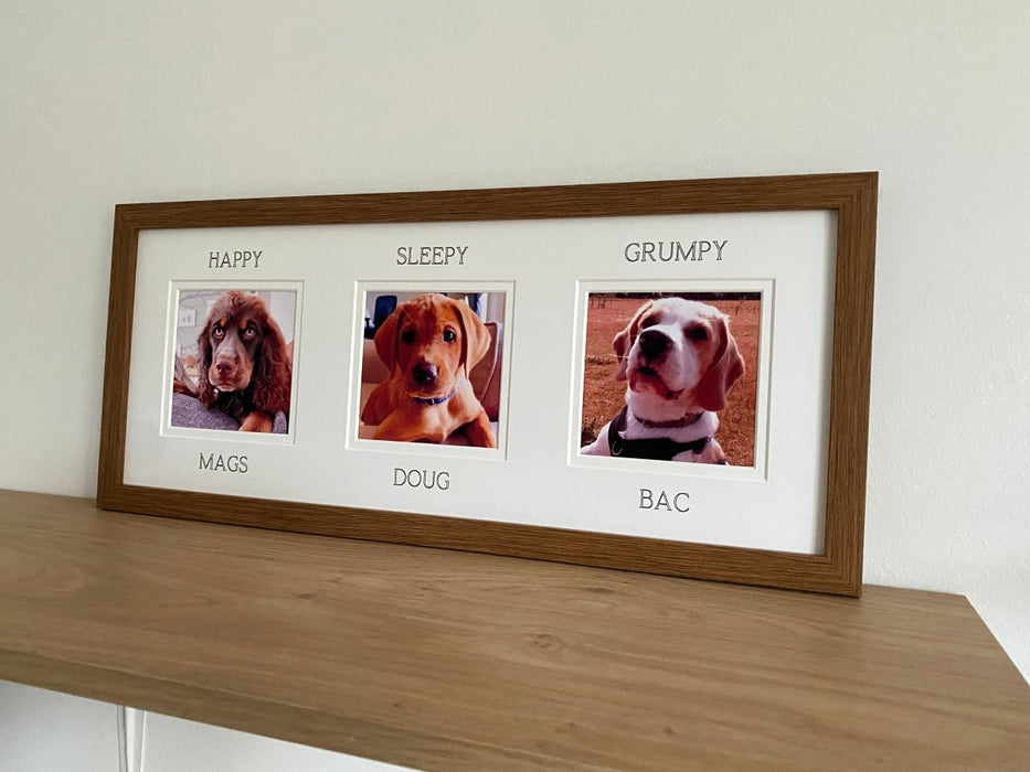 Wall Collage Multipicture Pet Dog Frame, rests against the wall on the shelf
