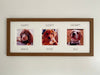 Wall Collage Multipicture Pet Dog Frame, Dark Brown