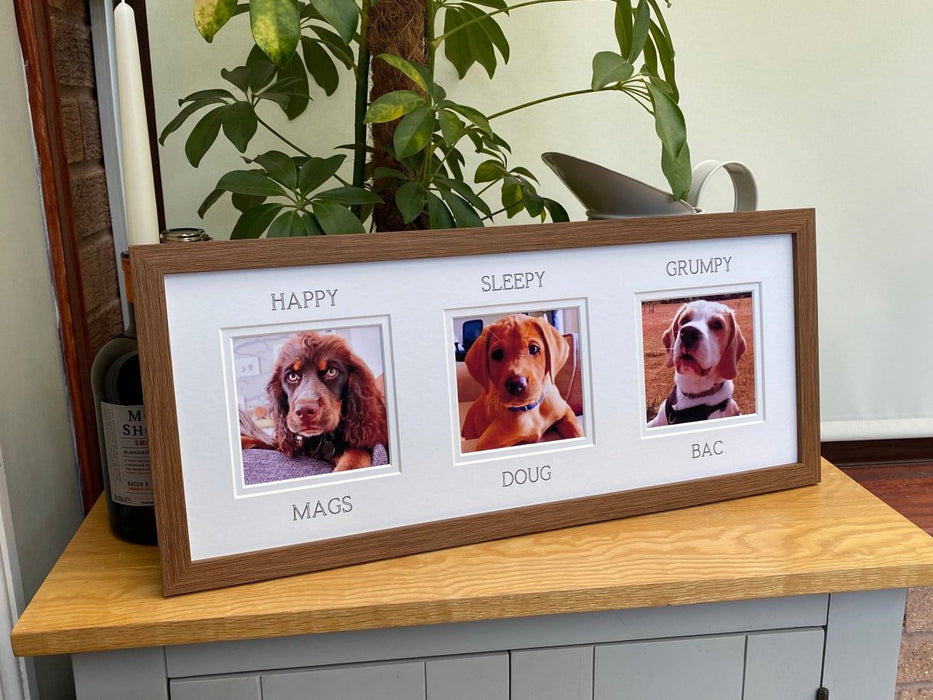 Three photo collage 20 x 8 inches, wall picture hanging Dog Frame