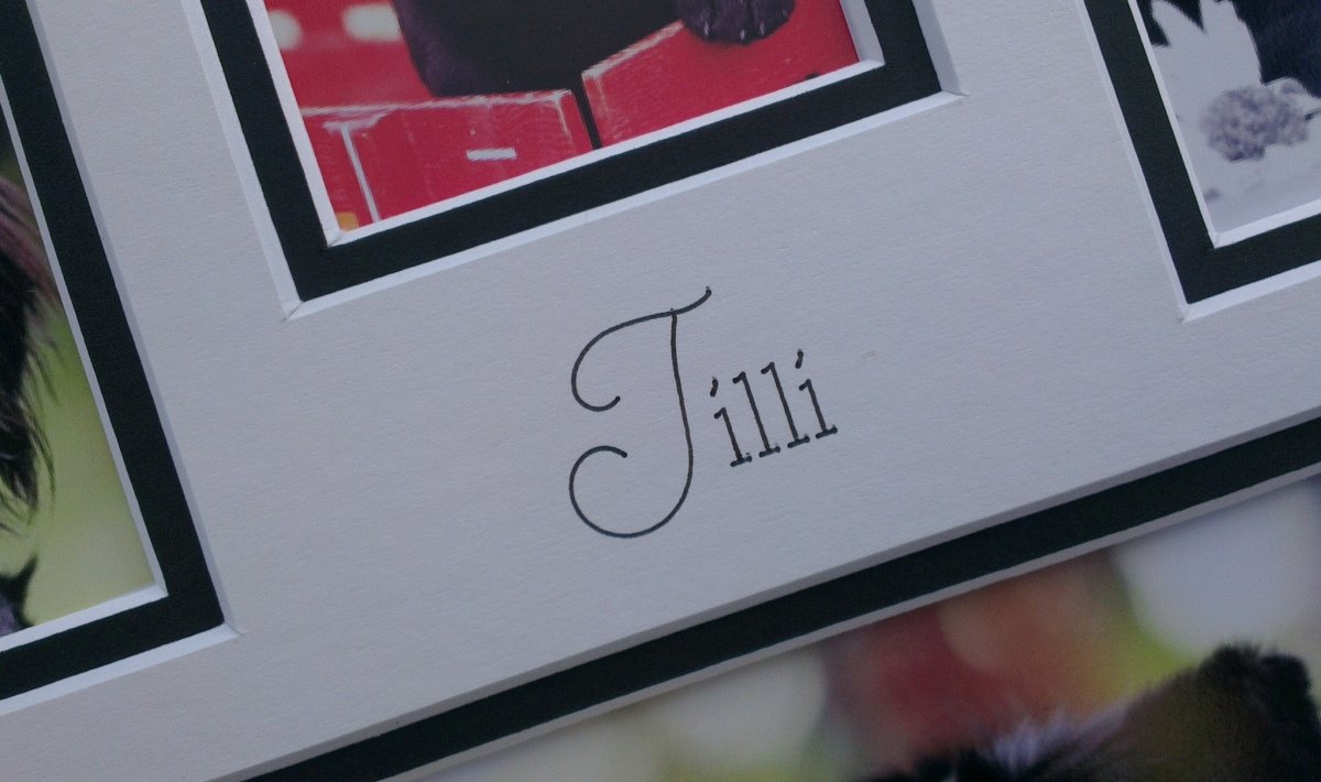 Personalised Pet Dog Cat Horse Photo Frame