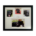 Pet Photo Frame Landscape 