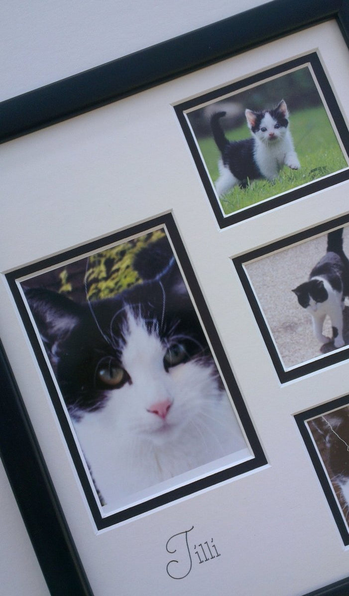 Name Your Pet Picture Gift Pets Azana Photo Frames