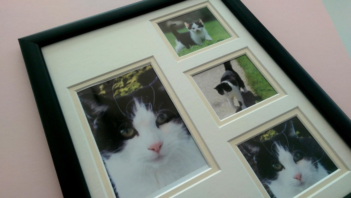 Personalised Pet Photo Frame 12 x 10 Portrait - Azana Photo Frames
