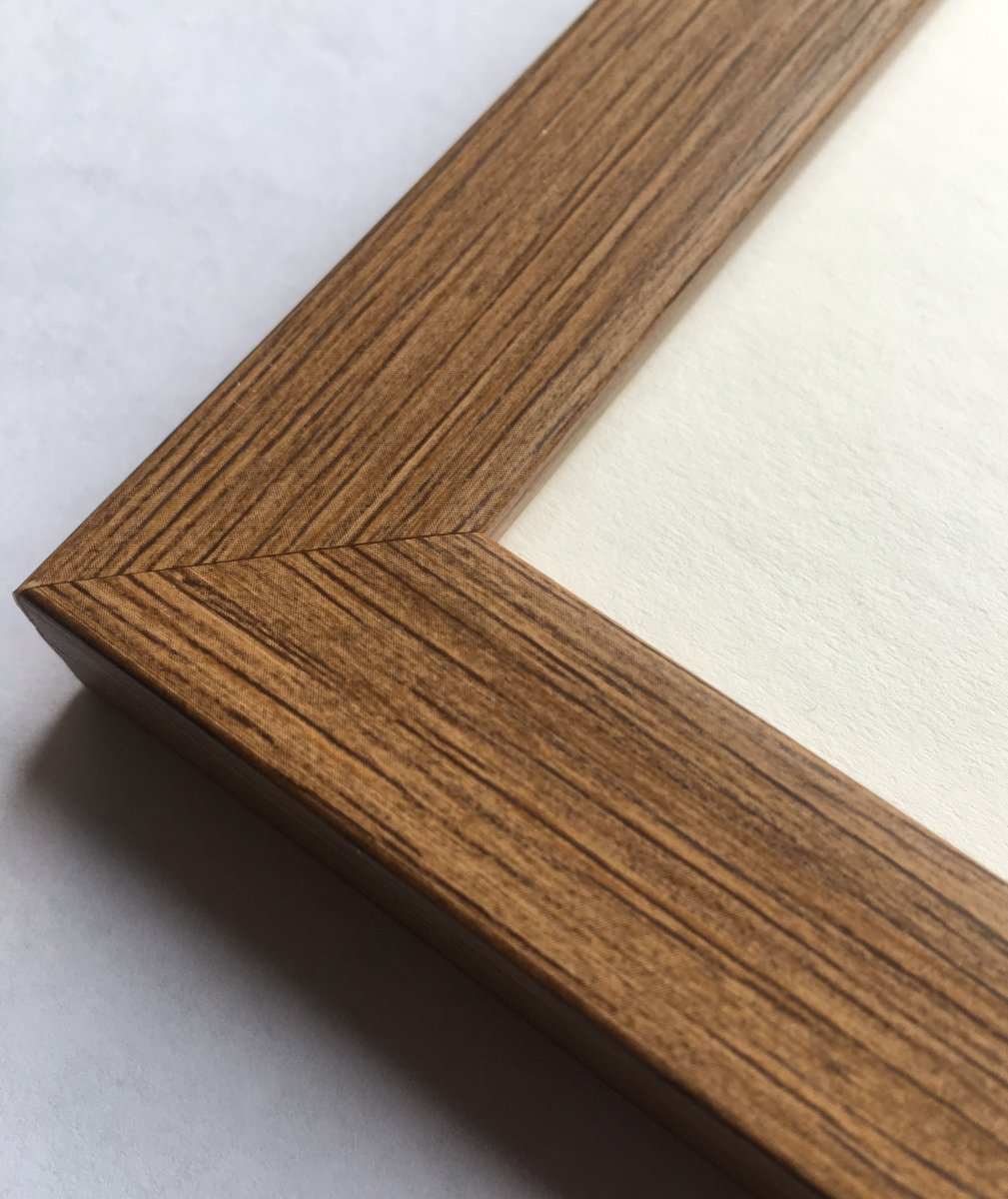 Twins Siblings Scan Photo Frame Dark Brown